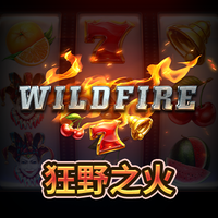 狂野之火